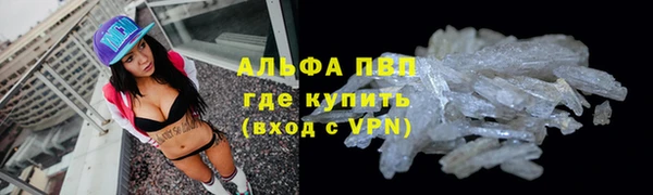 молекула духа Алексин