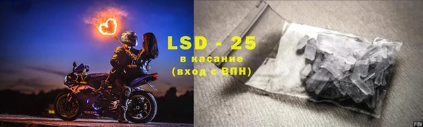 эйфоретик Алзамай